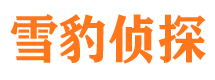 沧源侦探公司